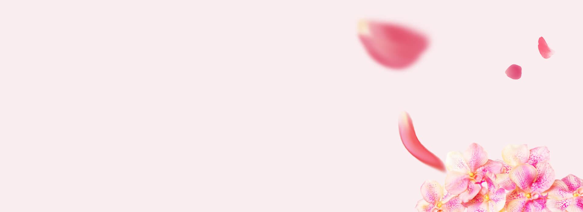 bg-slider-home2.jpg