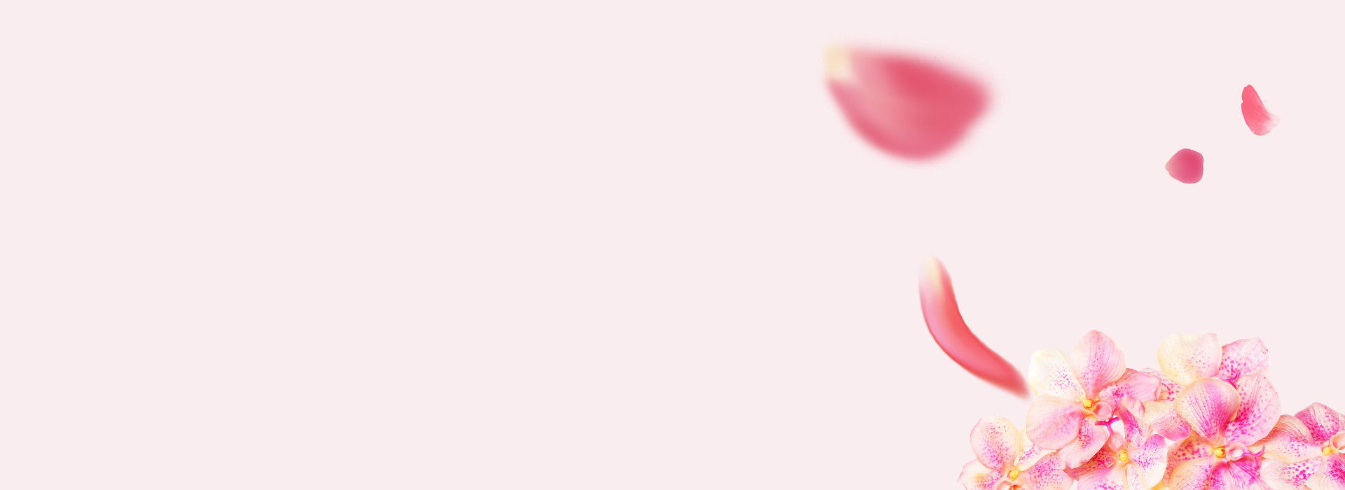 bg-slider-home21.jpg